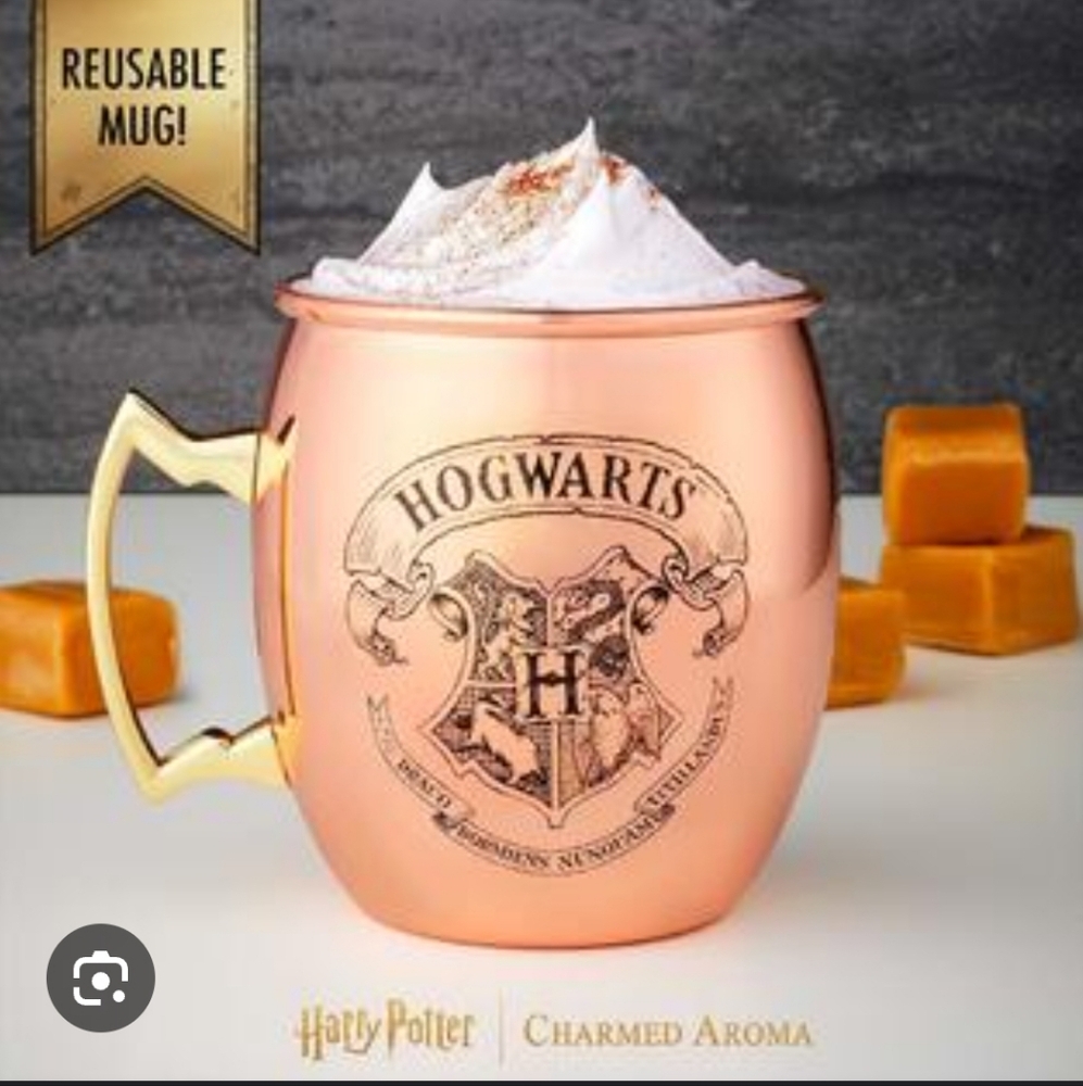 Charmed Aroma Harry Potter Copper Mug (Mug Only)